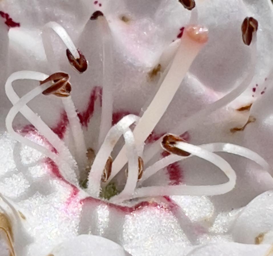 Click image for larger version

Name:	093124DF-B3DA-4EFB-A7C0-39C8851A7C0B.jpeg
Views:	115
Size:	74.6 KB
ID:	23156