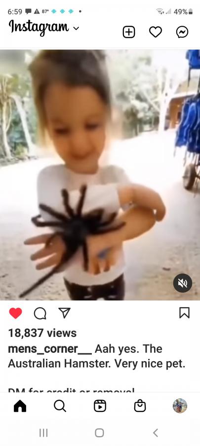 Click image for larger version

Name:	Screenshot_20220611-185956_Instagram.jpg
Views:	104
Size:	38.2 KB
ID:	23238
