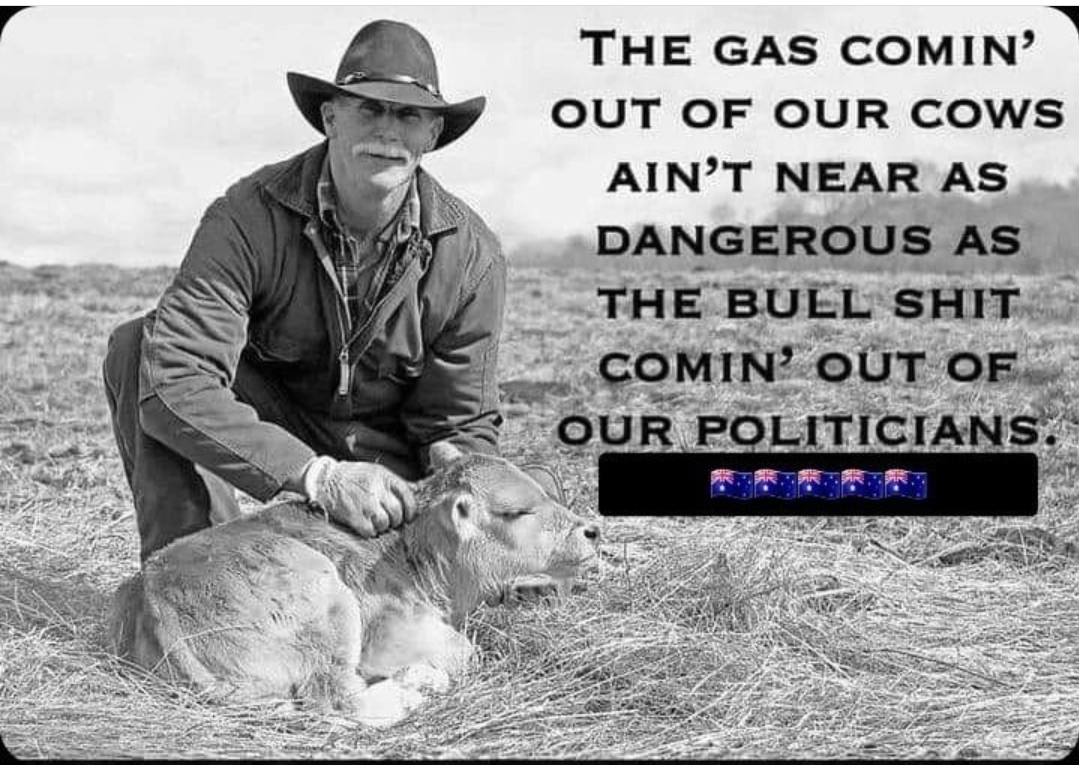 Click image for larger version

Name:	Screenshot_20220708-203929_Instagram.jpg
Views:	145
Size:	228.3 KB
ID:	23808