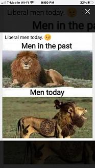 Click image for larger version

Name:	6F6B9691-34AF-4806-9CCE-AD088D189D58.jpeg
Views:	208
Size:	50.0 KB
ID:	23845