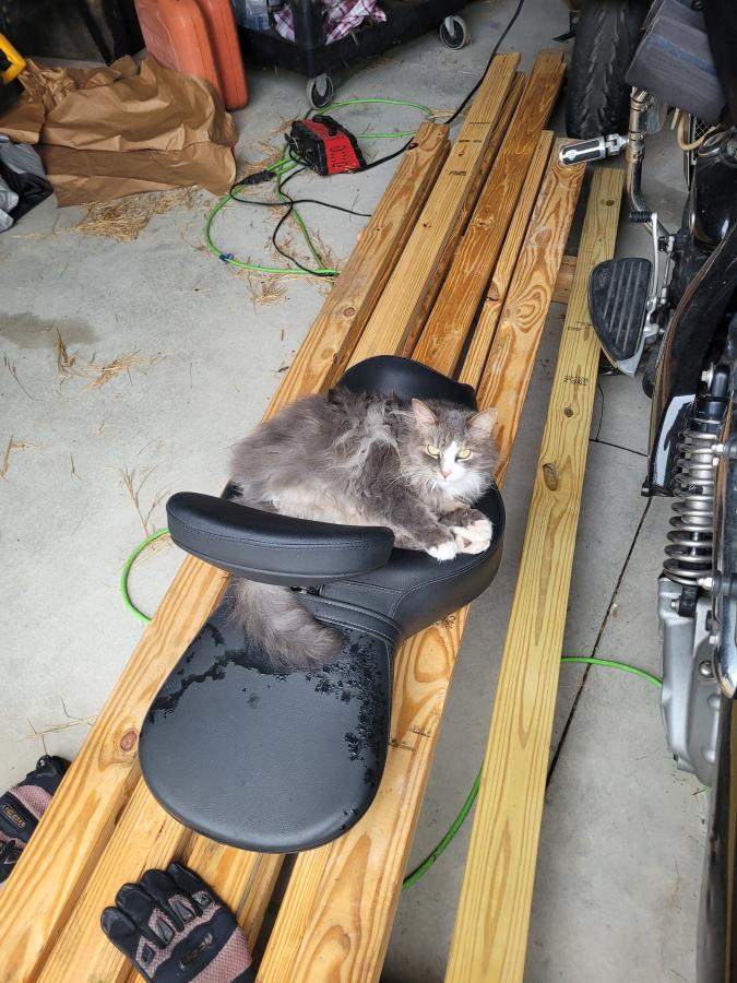 Click image for larger version

Name:	20220712_091029.jpg
Views:	121
Size:	112.8 KB
ID:	23856