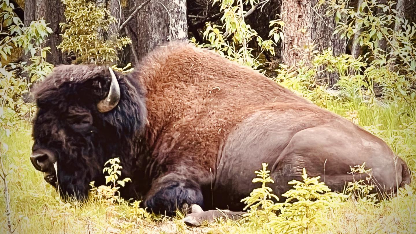 Click image for larger version

Name:	F28761B1-6762-4307-A8A8-AB790D933E88.jpeg
Views:	111
Size:	258.9 KB
ID:	24175