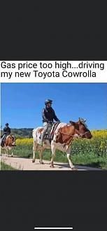 Click image for larger version

Name:	9B069A2A-2A41-499F-B752-D37F1F232E21.jpeg
Views:	229
Size:	31.2 KB
ID:	24195