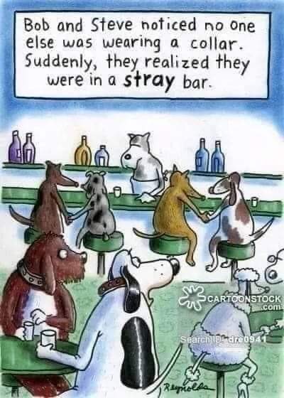 Click image for larger version

Name:	FB_IMG_1659046626489.jpg
Views:	124
Size:	58.2 KB
ID:	24202