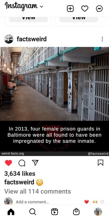 Click image for larger version

Name:	Screenshot_20220727-140206_Instagram.jpg
Views:	121
Size:	62.8 KB
ID:	24209