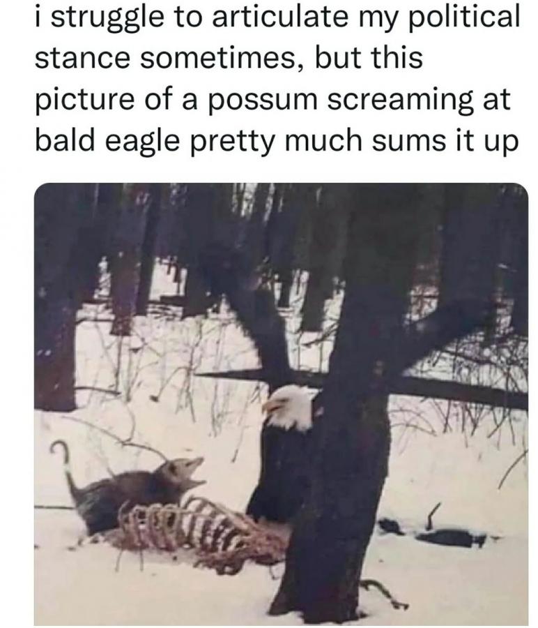 Click image for larger version

Name:	Screenshot_20220729-014038_Instagram.jpg
Views:	114
Size:	74.0 KB
ID:	24229