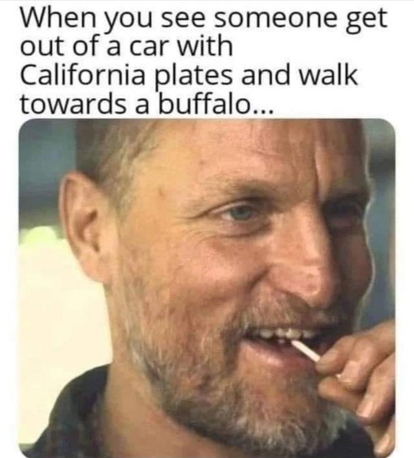 Click image for larger version

Name:	Screenshot_20220803-132547_Instagram.jpg
Views:	147
Size:	64.8 KB
ID:	24300