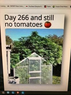 Click image for larger version  Name:	E04B0A47-4E07-4F2D-9E63-2F1C355FBD87.jpeg Views:	0 Size:	79.3 KB ID:	24546