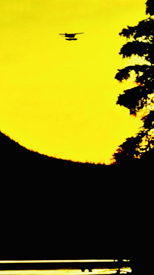 Click image for larger version

Name:	F8A46413-FCE7-4BDE-BBDB-00D977B7B019.jpeg
Views:	120
Size:	26.2 KB
ID:	24589