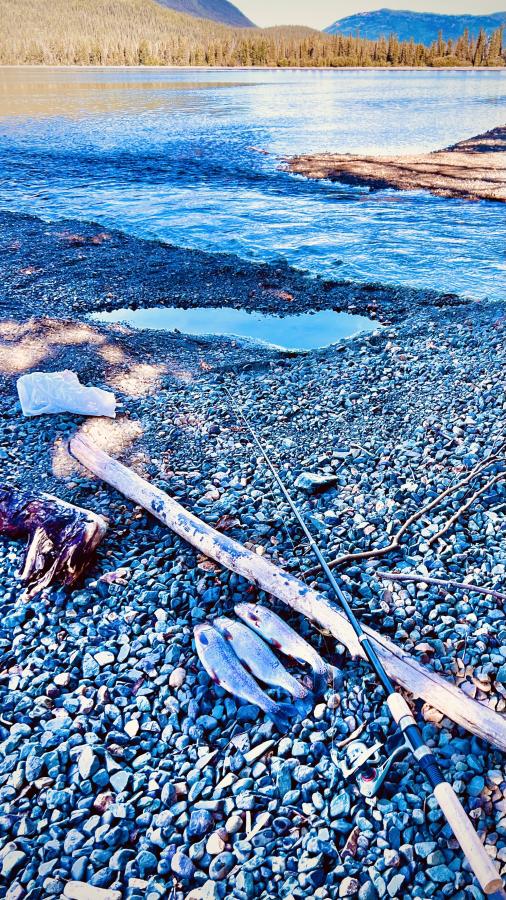 Click image for larger version

Name:	5727CABC-139C-4A56-BEBE-BD038FA9B832.jpeg
Views:	111
Size:	182.6 KB
ID:	24592