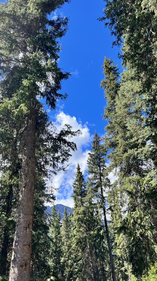 Click image for larger version

Name:	5B22D754-9403-4B16-BB03-82359B6A8AD3.jpeg
Views:	120
Size:	159.1 KB
ID:	24593