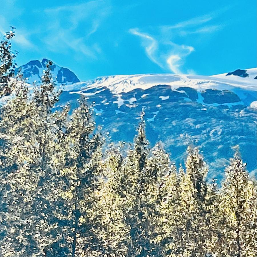 Click image for larger version

Name:	34BA0D2B-78DD-4527-B8E1-C54BE6BA728E.jpeg
Views:	111
Size:	187.3 KB
ID:	24596