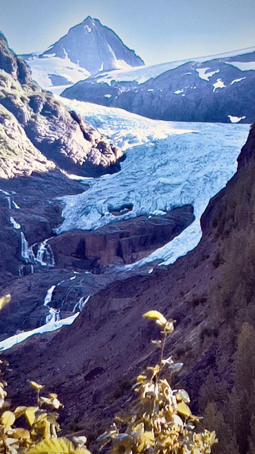 Click image for larger version

Name:	A8DE5712-6392-462D-B76D-FDEEC107C20C.jpeg
Views:	110
Size:	93.1 KB
ID:	24598