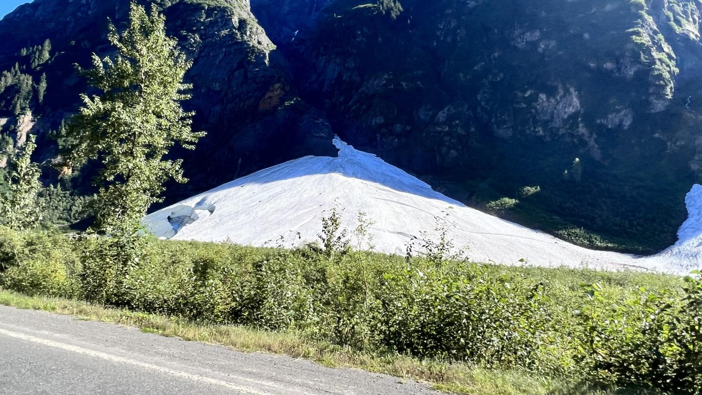 Click image for larger version

Name:	B2DB7AA9-A15F-4798-995F-1F5F564986B0.jpeg
Views:	117
Size:	287.2 KB
ID:	24599