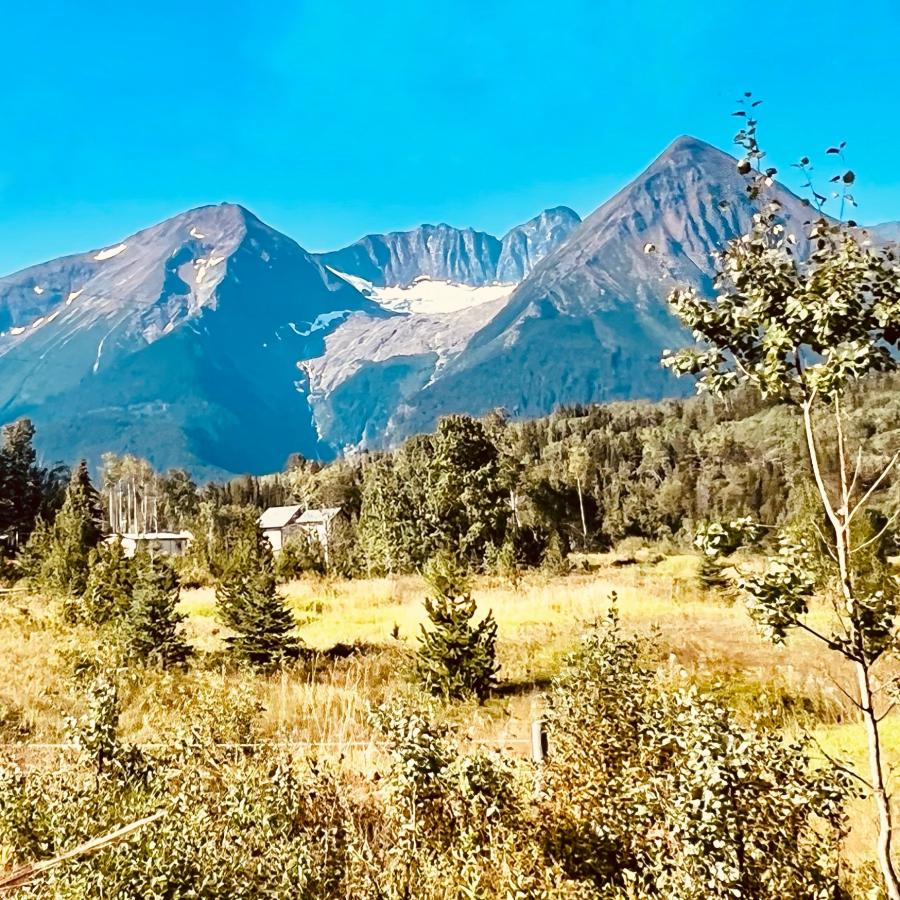 Click image for larger version

Name:	2562785D-2273-472C-A9B9-A095EAE11651.jpeg
Views:	118
Size:	205.0 KB
ID:	24602