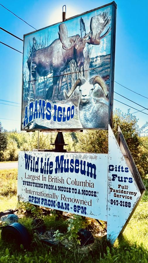 Click image for larger version

Name:	52624AF2-4E77-4012-8BA5-C0F7D9578D31.jpeg
Views:	112
Size:	124.4 KB
ID:	24607