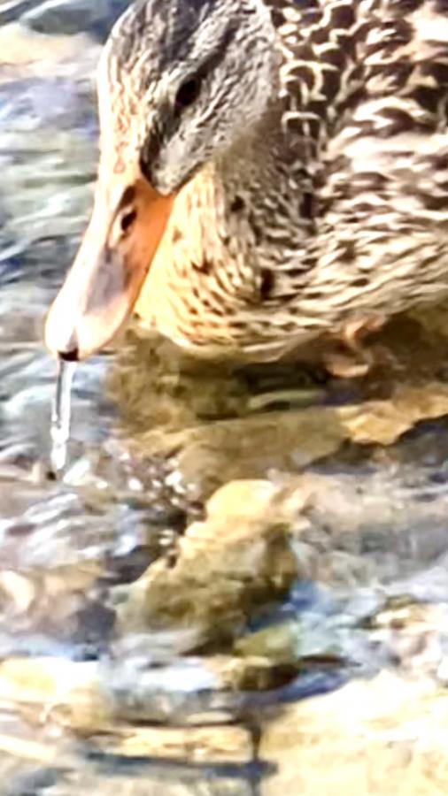 Click image for larger version

Name:	20A19C2F-9C01-4289-AAB5-EBB066B522FB.jpeg
Views:	106
Size:	62.0 KB
ID:	24763