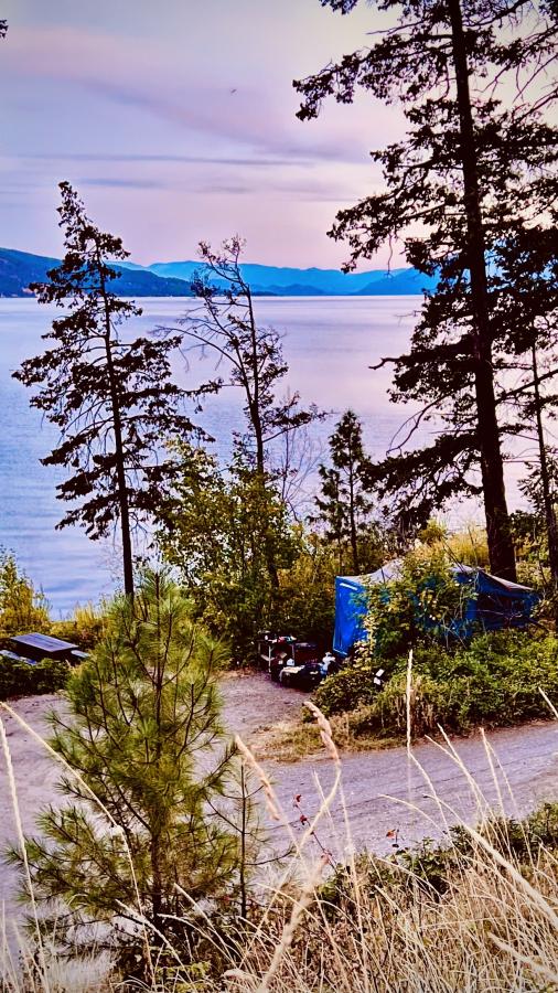 Click image for larger version

Name:	DEEB0498-08F7-4F50-90DA-3241CF74EB25.jpeg
Views:	100
Size:	148.6 KB
ID:	24764