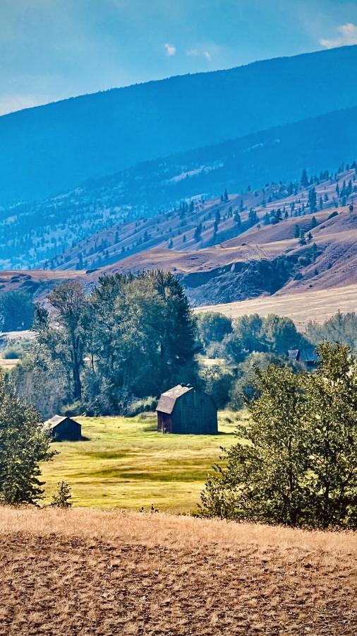 Click image for larger version

Name:	3F1298E2-B8D0-402C-9FA5-40E00C5842F9.jpeg
Views:	103
Size:	112.9 KB
ID:	24766