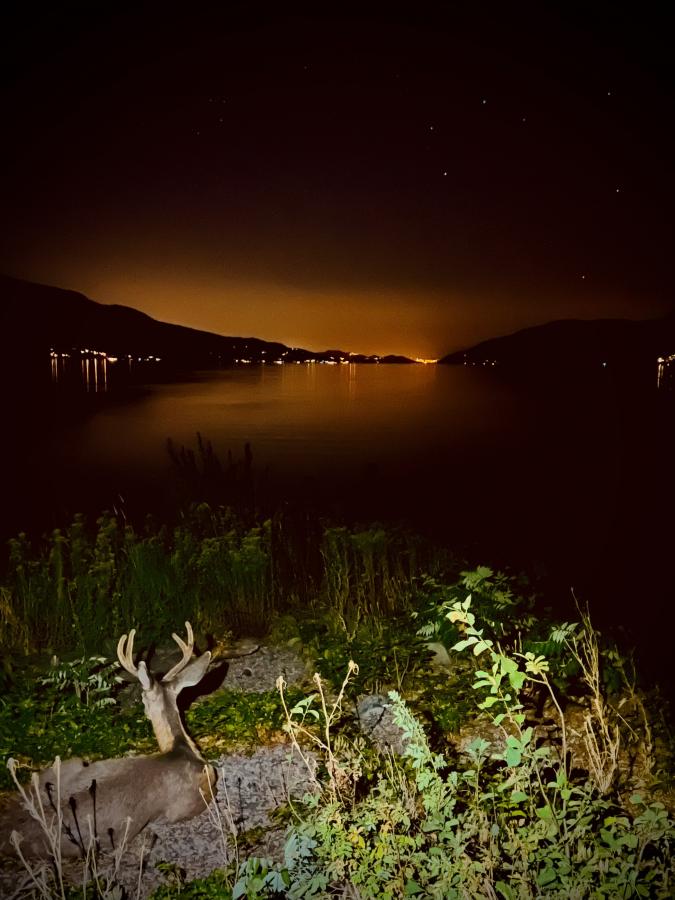 Click image for larger version

Name:	5392830F-43C5-4B82-A2E3-34DAA320D881.jpeg
Views:	103
Size:	77.2 KB
ID:	24770