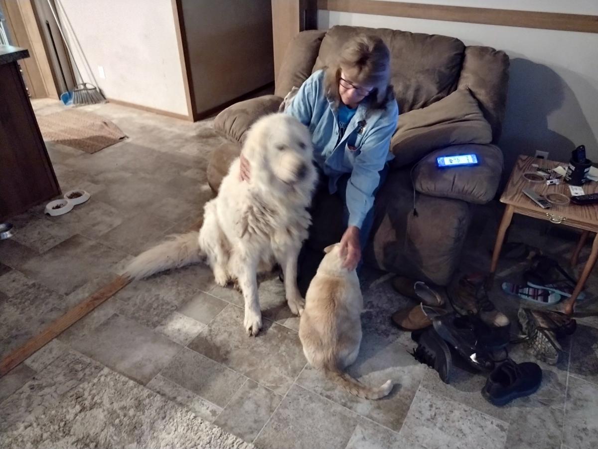 Click image for larger version

Name:	IMG_20220910_090213776.jpg
Views:	131
Size:	123.9 KB
ID:	24909