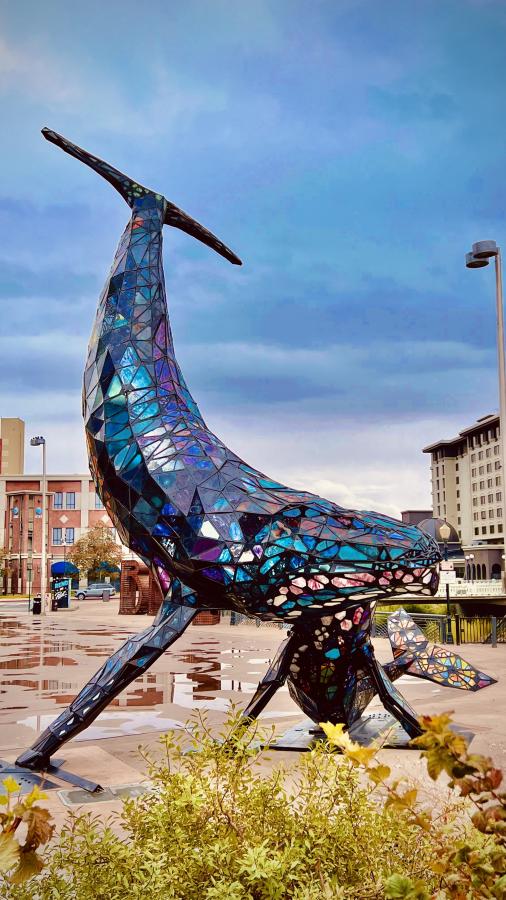 Click image for larger version

Name:	050787D3-270C-4FF3-A664-657E37E2DFA9.jpeg
Views:	134
Size:	94.5 KB
ID:	25079