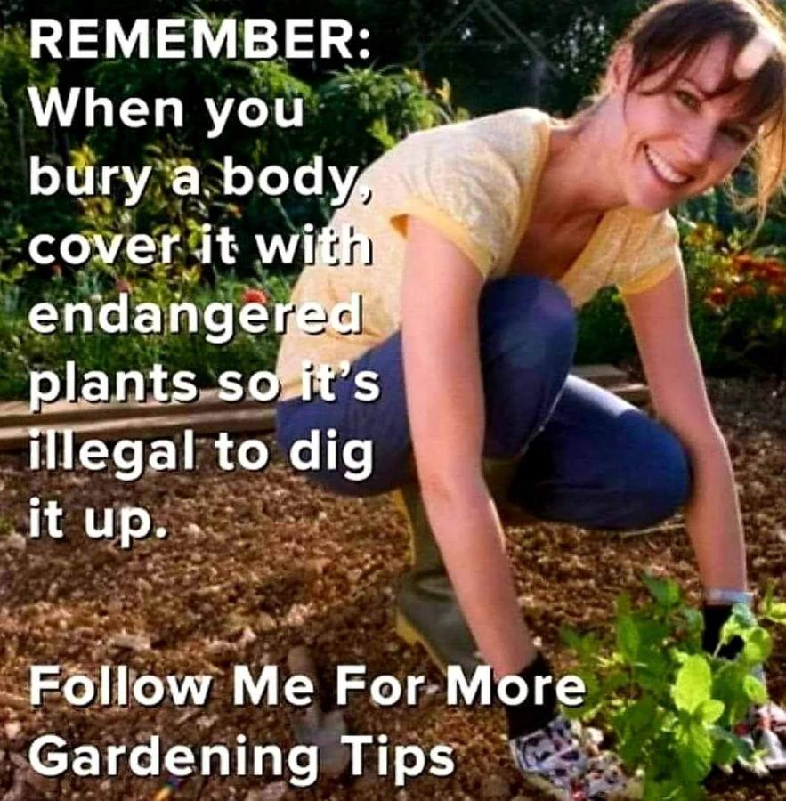 Click image for larger version

Name:	C8863BDB-06FF-407E-AF6C-A934FA5891ED.jpeg
Views:	122
Size:	136.9 KB
ID:	25092