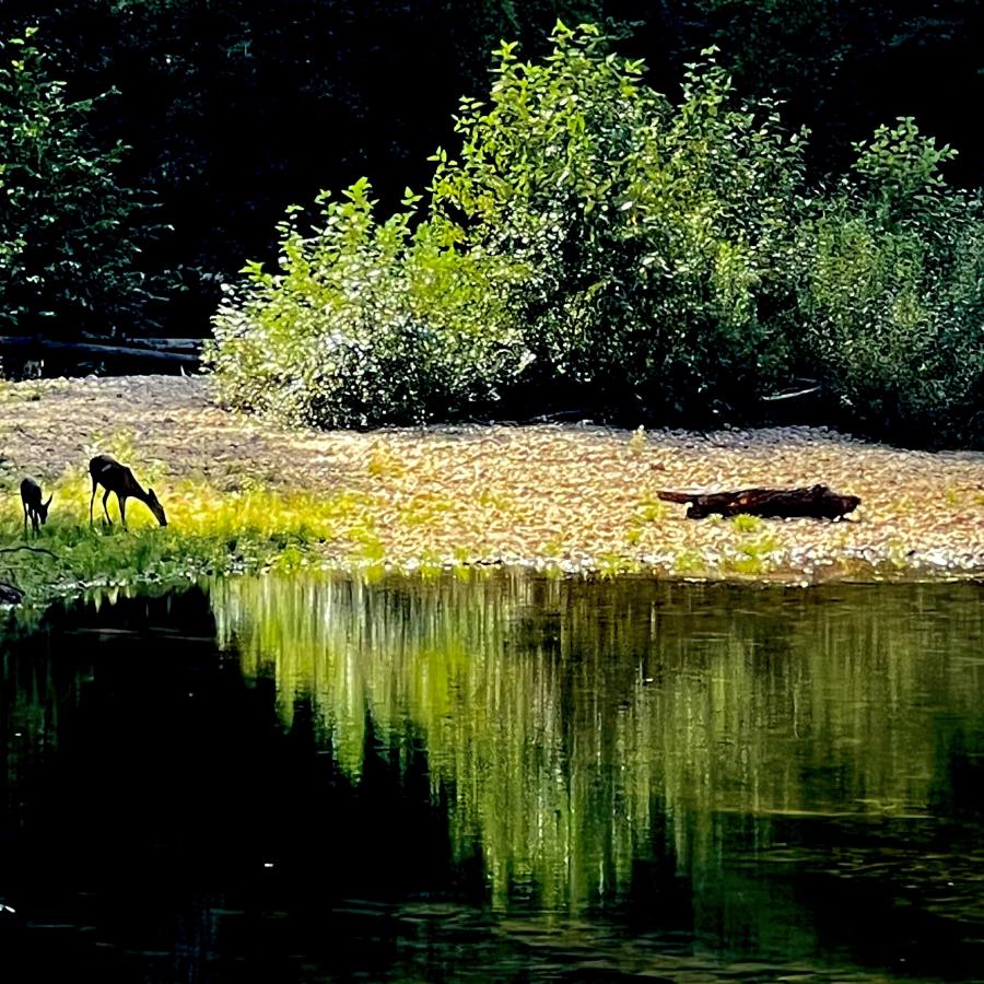 Click image for larger version

Name:	561B9D8A-1358-41FA-958F-90E993B024A2.jpeg
Views:	96
Size:	176.5 KB
ID:	25230