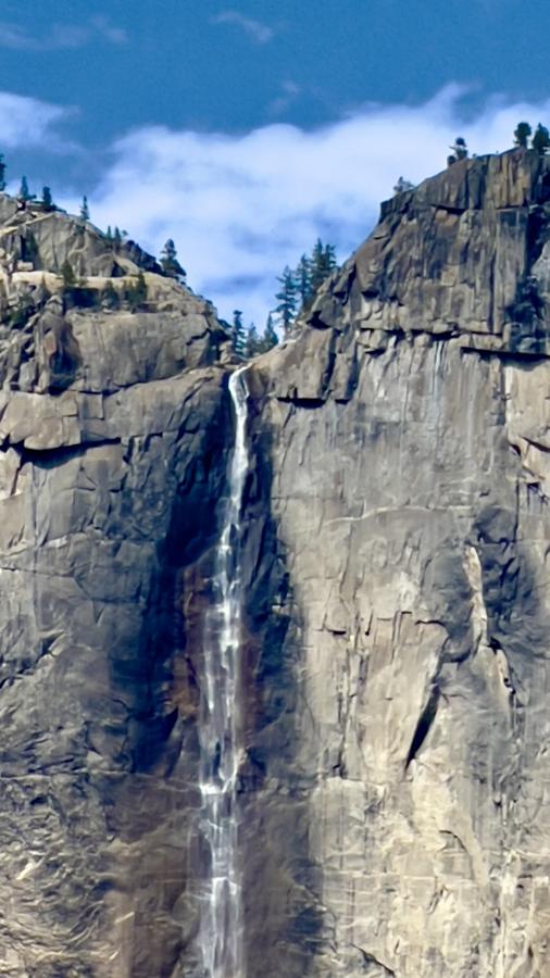 Click image for larger version

Name:	4911F2C3-B056-4EDD-8098-5A44AFE3CD12.jpeg
Views:	107
Size:	74.5 KB
ID:	25232