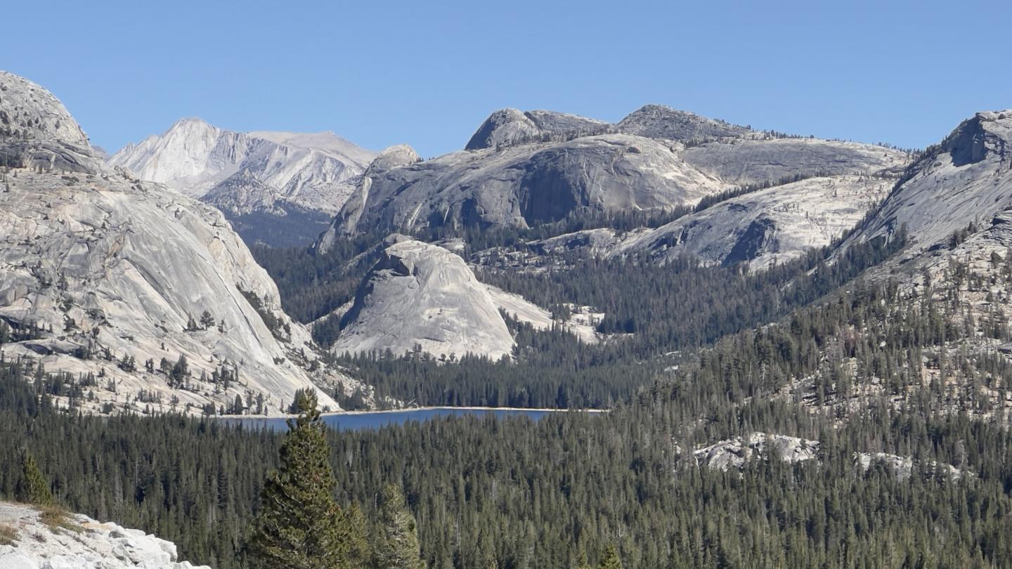 Click image for larger version

Name:	53CD310A-BF19-44E6-9875-D176246FD980.jpeg
Views:	104
Size:	200.2 KB
ID:	25233