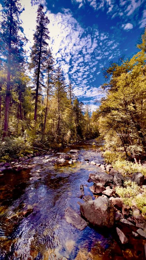 Click image for larger version

Name:	9AFEE7AC-C59B-4B5D-8366-9DC3C1D09C9F.jpeg
Views:	100
Size:	149.5 KB
ID:	25234