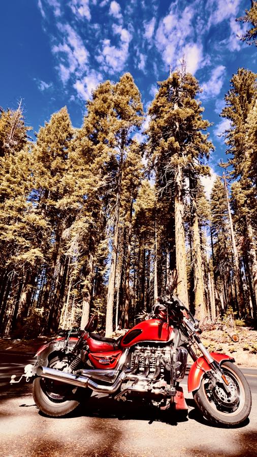 Click image for larger version

Name:	D729D7CA-DCC0-4824-9885-5576E24A2F26.jpeg
Views:	106
Size:	164.0 KB
ID:	25239