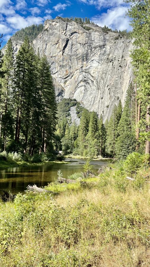 Click image for larger version

Name:	458B9D8C-998F-4C1A-8455-719930DDF1AF.jpeg
Views:	100
Size:	164.7 KB
ID:	25240