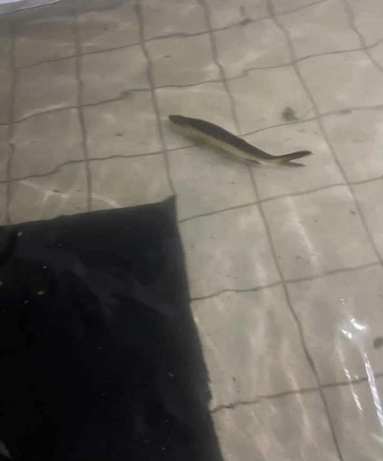 Click image for larger version

Name:	ABBFC52B-6CC8-44FA-A37A-41F501A3AB83.jpg
Views:	106
Size:	34.6 KB
ID:	25302