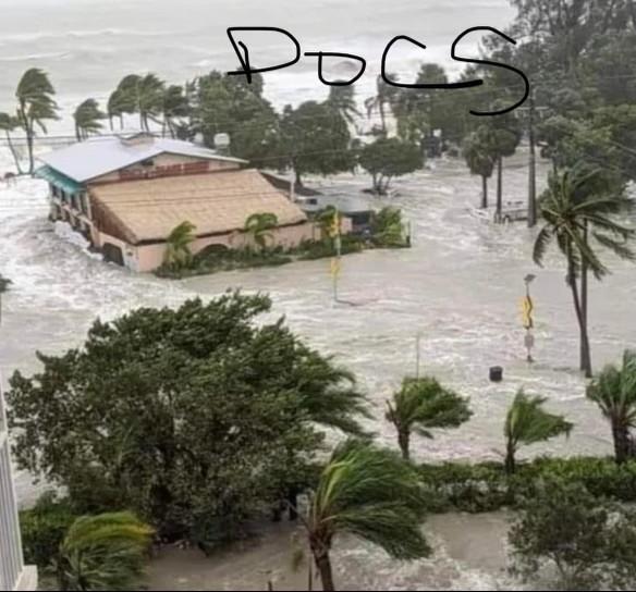 Click image for larger version

Name:	DBF4C812-948A-4111-9651-430F3BF8C8E4.jpg
Views:	107
Size:	84.1 KB
ID:	25303