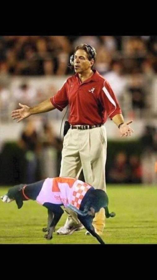 Click image for larger version

Name:	FB_IMG_1665882132748.jpg
Views:	302
Size:	44.7 KB
ID:	25471