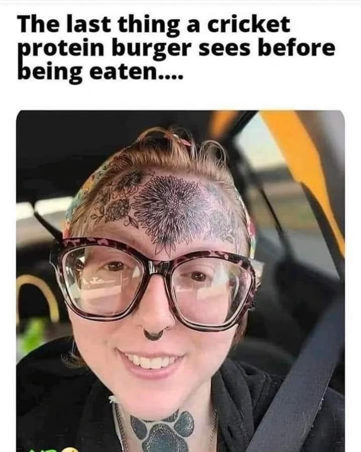 Click image for larger version

Name:	95AC6BA7-E9B8-4CB4-B282-DF4D8077B86C.jpeg
Views:	91
Size:	72.6 KB
ID:	25532