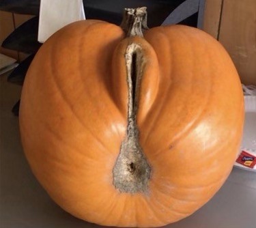 Click image for larger version

Name:	F2A5B3CA-5A15-42C7-B844-B7DD3814E6C0.jpeg
Views:	135
Size:	23.9 KB
ID:	25580