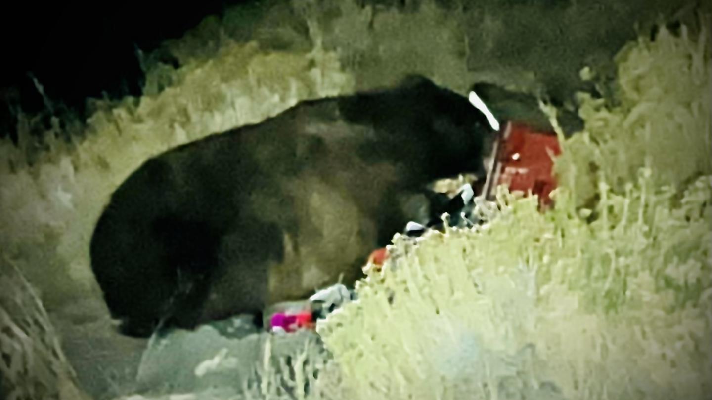 Click image for larger version

Name:	5DC42DE2-A0CC-4F3D-A738-1CA284CD5033.jpeg
Views:	75
Size:	82.1 KB
ID:	25582