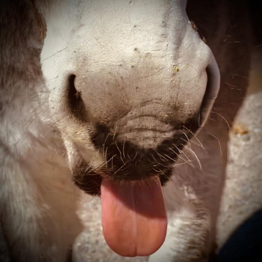 Click image for larger version

Name:	EDA898E7-B722-4F99-8AFA-8B1556EF96CC.jpeg
Views:	83
Size:	70.9 KB
ID:	25588