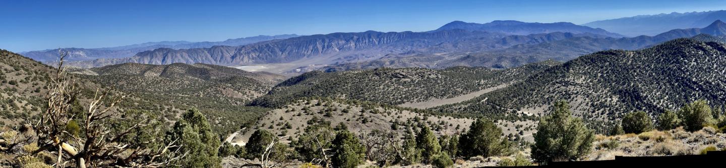 Click image for larger version

Name:	09C62206-38B9-4CA9-BCFB-7544758DEA2B.jpeg
Views:	74
Size:	129.7 KB
ID:	25583