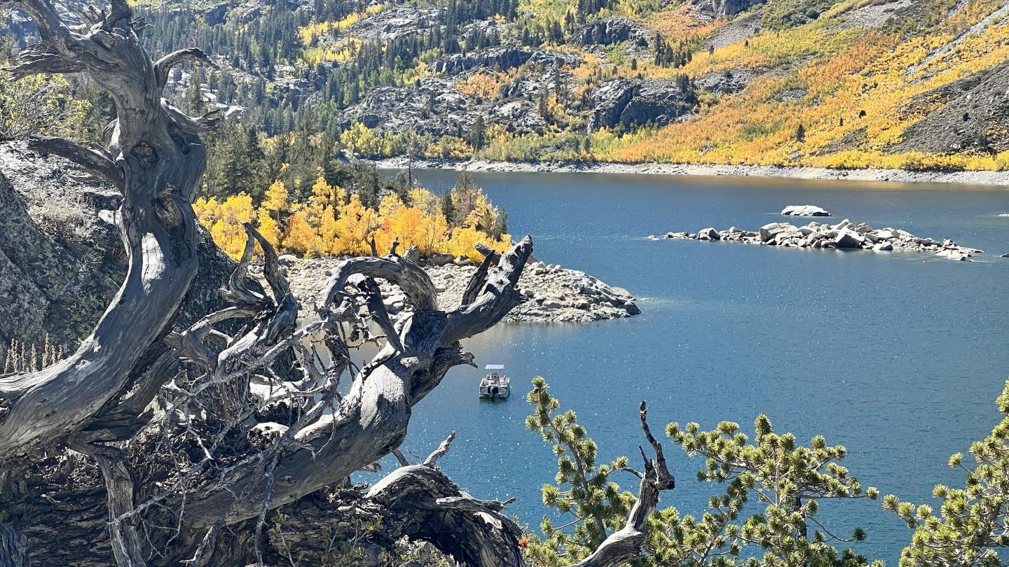 Click image for larger version

Name:	70B53AE2-C686-4321-9EAB-EAB7B6461980.jpeg
Views:	85
Size:	370.4 KB
ID:	25585