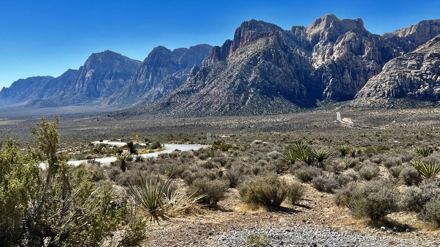 Click image for larger version

Name:	A1DF22F6-D37F-4B7A-8D61-5CBBC42191A1.jpeg
Views:	76
Size:	324.1 KB
ID:	25590