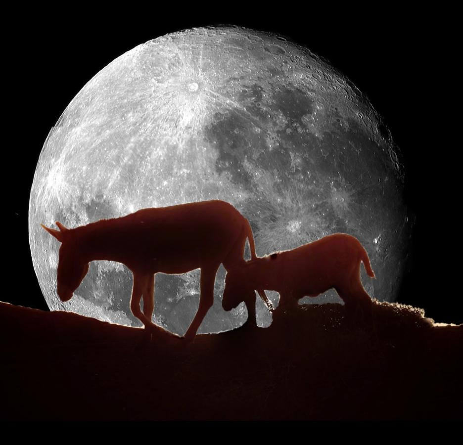 Click image for larger version

Name:	5708F1BC-1936-419C-9A66-2EE9A3B3D86D.jpeg
Views:	68
Size:	74.1 KB
ID:	25595