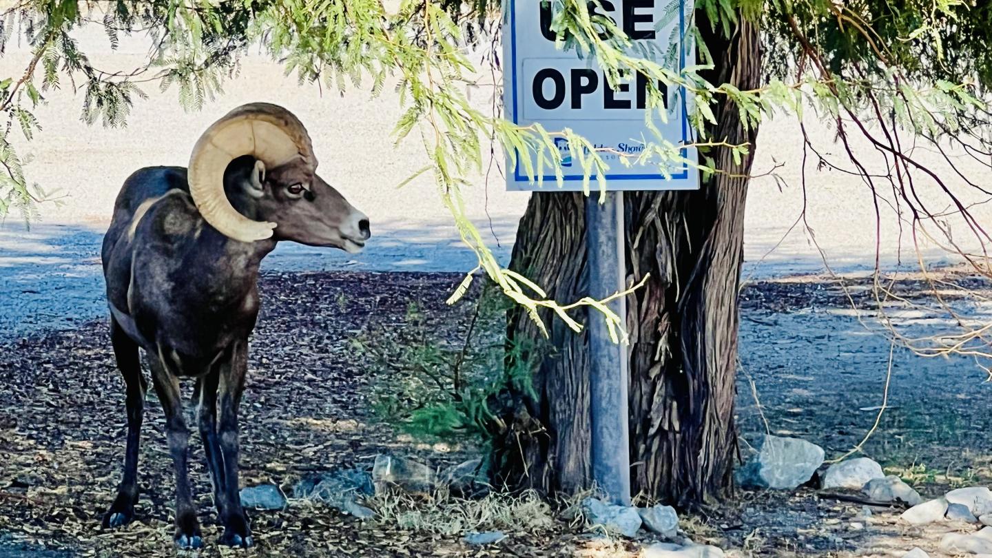 Click image for larger version

Name:	A4B1463C-53F5-47A9-946C-0DFCEA0A9A5E.jpeg
Views:	76
Size:	294.8 KB
ID:	25604