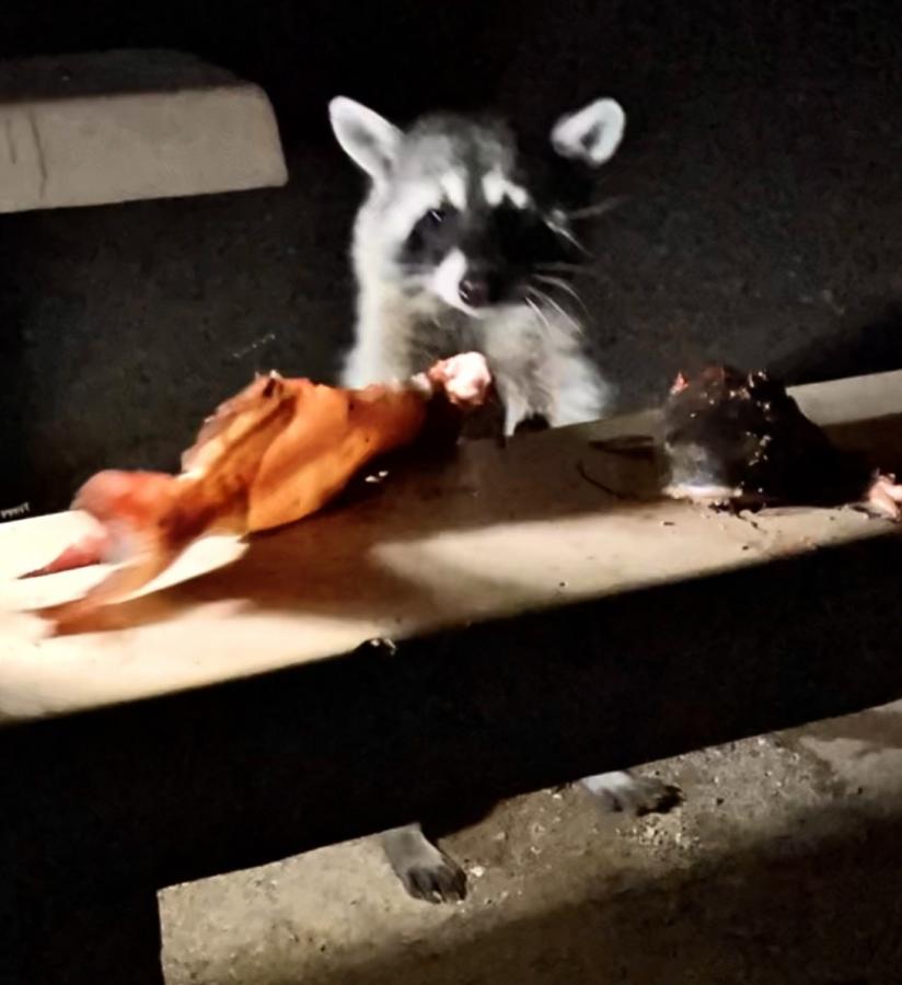 Click image for larger version

Name:	673AADE7-68FD-41D4-8AE3-4178709A68DF.jpeg
Views:	101
Size:	55.2 KB
ID:	25606