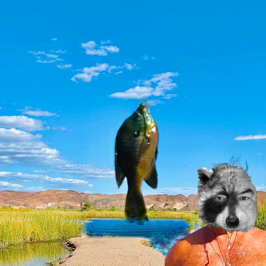 Click image for larger version

Name:	03D0B981-BE4B-4494-BD3F-FC44D78B393B.jpeg
Views:	108
Size:	82.6 KB
ID:	25608