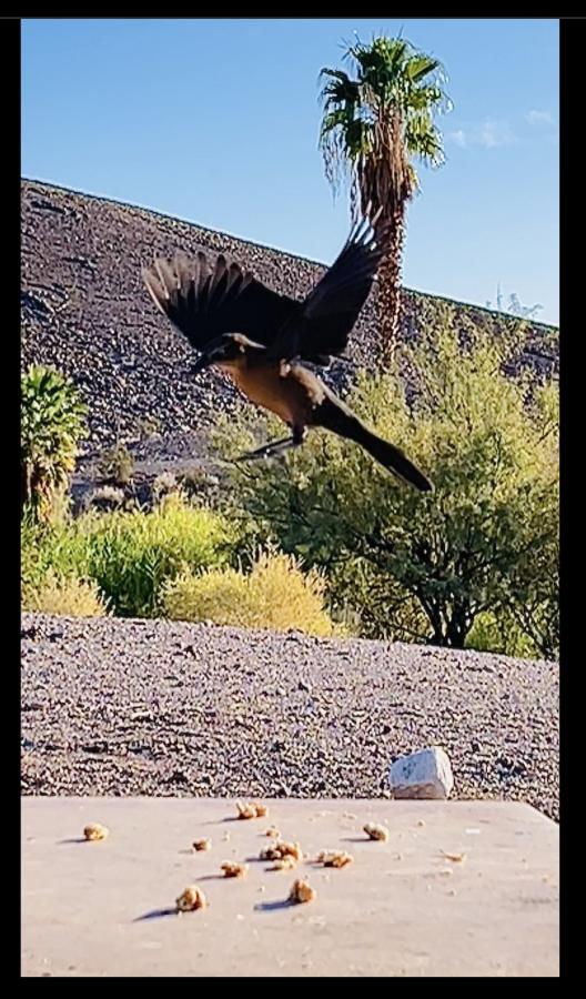 Click image for larger version

Name:	F58E9275-0119-4351-8F5E-B2E2C7B98AE6.jpeg
Views:	121
Size:	105.7 KB
ID:	25613