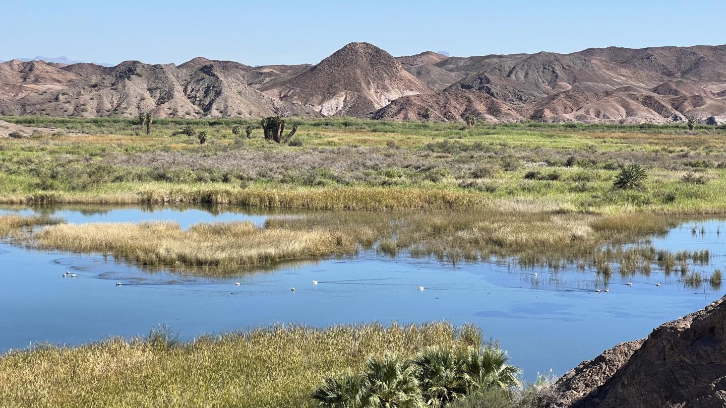 Click image for larger version

Name:	010C1D2B-7115-436B-9A2F-B4B50C25D948.jpeg
Views:	119
Size:	267.6 KB
ID:	25614