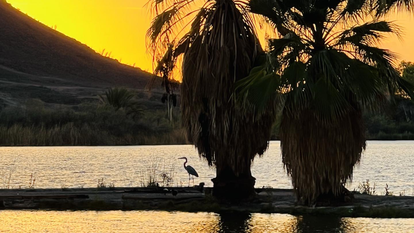 Click image for larger version

Name:	E05F1038-A750-4740-983C-FA90D7816DE6.jpeg
Views:	100
Size:	171.7 KB
ID:	25964